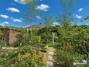 Garden- click for photo gallery